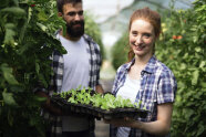 Mann und junge Frau mit Salatpflänzchen in Händen in Gewächshaus