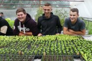 Drei Meisterschüler vor Jungpflanzen in einem Gewächshaus