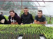 Drei Meisterschüler vor Jungpflanzen in einem Gewächshaus