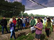 Meisterschüler auf dem Feld unter Sonnenschutz